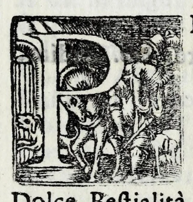 An illustration from Delle poesie dramatiche di Giovann' Andrea Moniglia, accademico della Crusca, parte prima[-terza], 1689, leaf 511