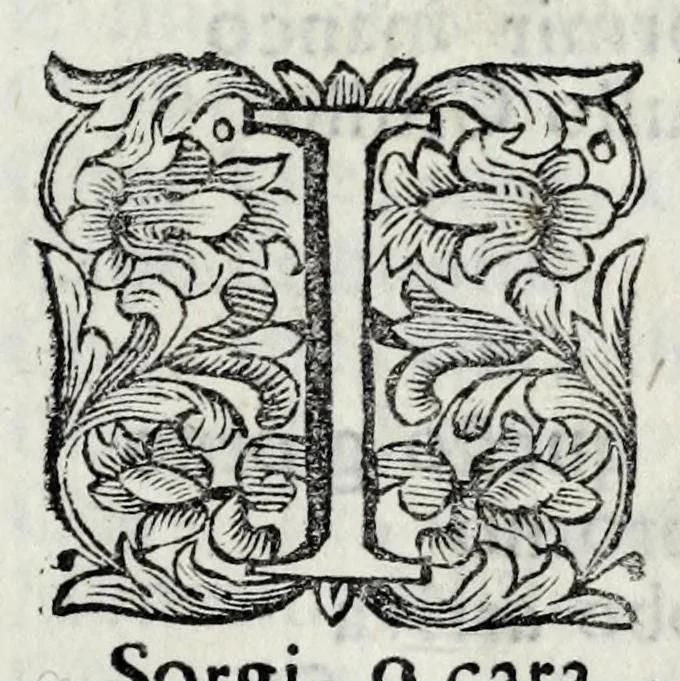 An illustration from Delle poesie dramatiche di Giovann' Andrea Moniglia, accademico della Crusca, parte prima[-terza], 1689, leaf 567