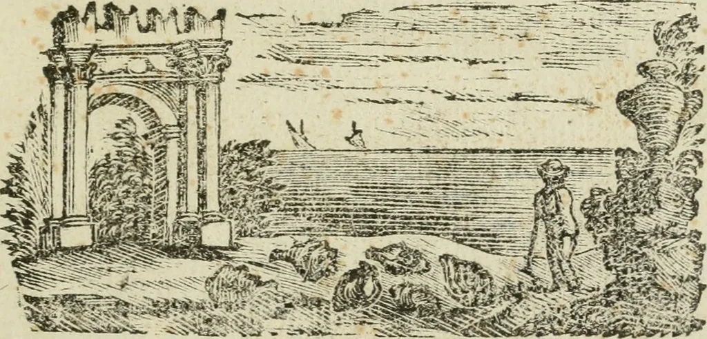 An illustration from Delle porpore e delle materie vestiarie presso gli antichi : dissertazione epistolare, 1786, leaf 4