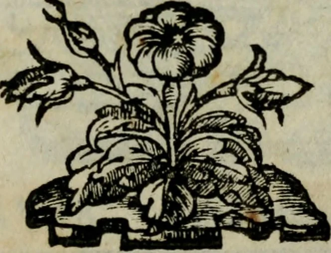 An illustration from Delle rime del S. Filippo Binaschi. Parte prima, et seconda. Novamente stampate, 1588, leaf 302