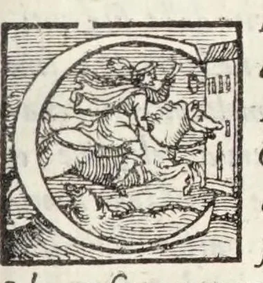 An illustration from Delle rime di M. Pietro Bembo : tratta dall'essemplare corretto di sua mano : tra lequali ce ne sono molte non piu stampate, 1558, leaf 9
