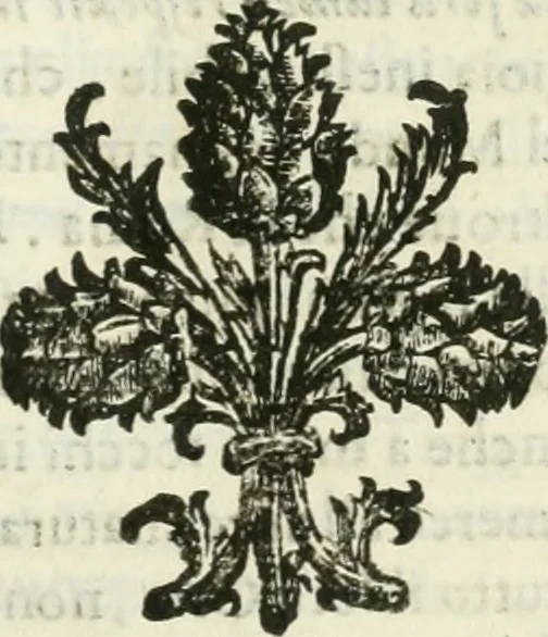 An illustration from Delle statue, 1661, leaf 106