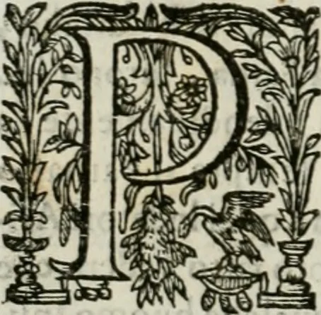 An illustration from Delle statue, 1661, leaf 107