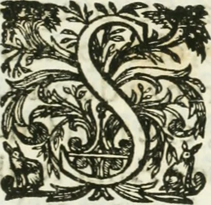 An illustration from Delle statue, 1661, leaf 14