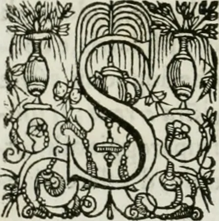 An illustration from Delle statue, 1661, leaf 141