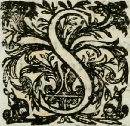 An illustration from Delle statue, 1661, leaf 165