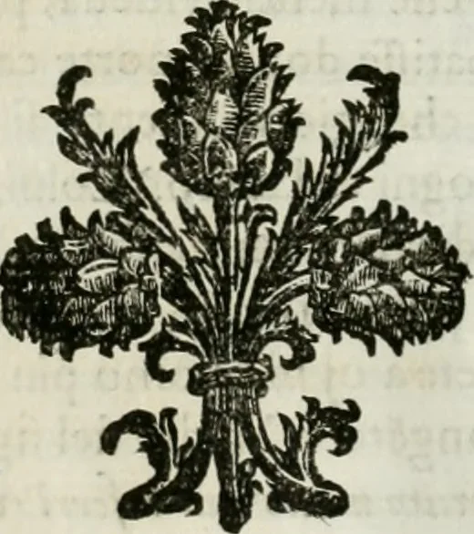 An illustration from Delle statue, 1661, leaf 201