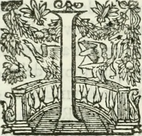 An illustration from Delle statue, 1661, leaf 202