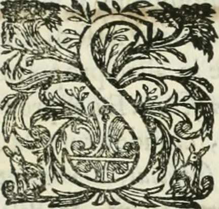 An illustration from Delle statue, 1661, leaf 226
