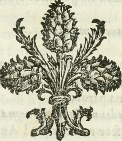 An illustration from Delle statue, 1661, leaf 32