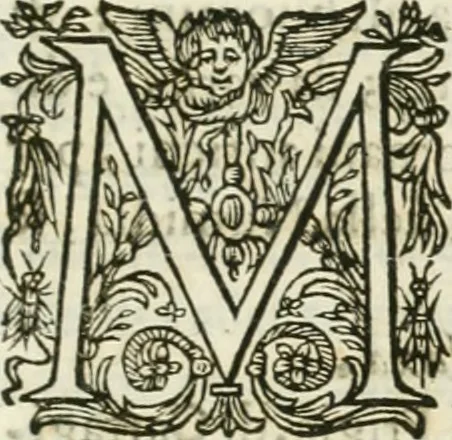 An illustration from Delle statue, 1661, leaf 46