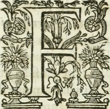 An illustration from Delle statue, 1661, leaf 60