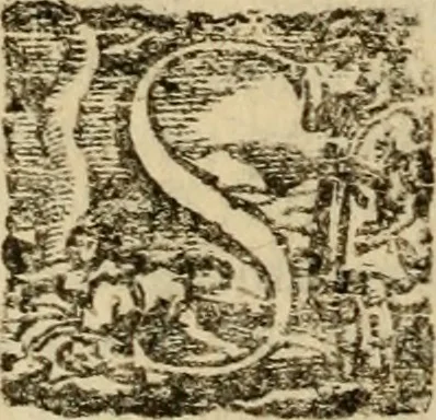An illustration from Delle vite de' più eccellenti pittori, scultori, et architetti, 1648, leaf 235