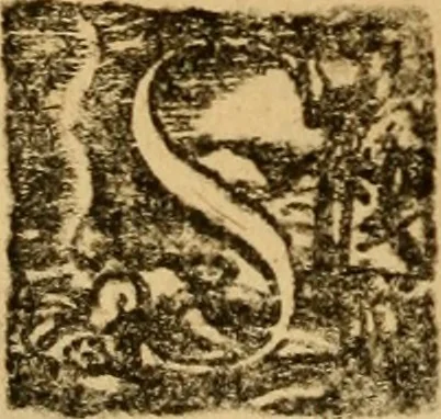 An illustration from Delle vite de' più eccellenti pittori, scultori, et architetti, 1648, leaf 201