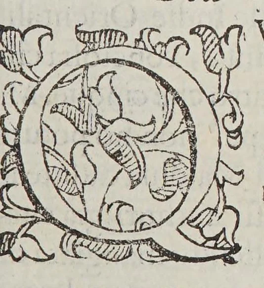 An illustration from Dell' historia de i semplici aromati, et altre cose; che vengono portate dall' Indie Orientali pertinenti all' vso della medicina. : Parte prima. Diuisa in libri IIII., 1589, leaf 35