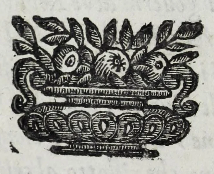 An illustration from Dell' historia di Perugia, di Pompeo Pellini : parte prima[-seconda], nella quale si contengono oltre l'origine e fatii [i.e. fatti] della città, li principali successi d'Italia per il corso d'anni 3525, 1664, leaf 14