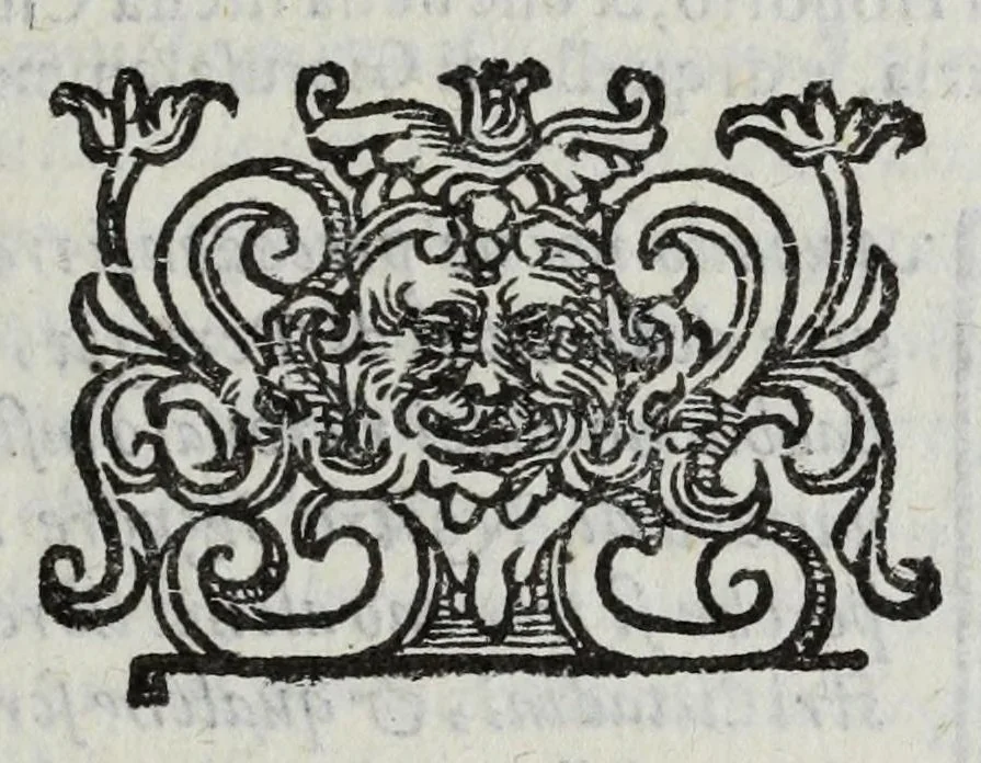 An illustration from Dell' historia di Perugia, di Pompeo Pellini : parte prima[-seconda], nella quale si contengono oltre l'origine e fatii [i.e. fatti] della città, li principali successi d'Italia per il corso d'anni 3525, 1664, leaf 249