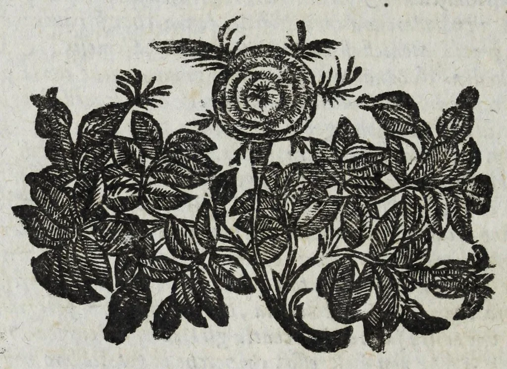 An illustration from Dell' historia di Perugia, di Pompeo Pellini : parte prima[-seconda], nella quale si contengono oltre l'origine e fatii [i.e. fatti] della città, li principali successi d'Italia per il corso d'anni 3525, 1664, leaf 448