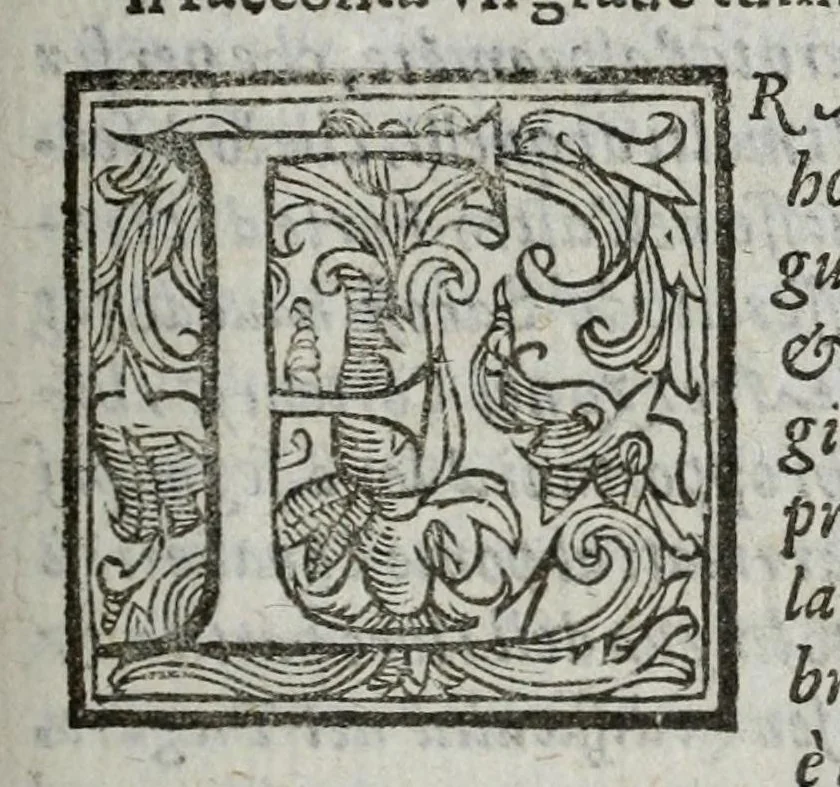 An illustration from Dell' historia di Perugia, di Pompeo Pellini : parte prima[-seconda], nella quale si contengono oltre l'origine e fatii [i.e. fatti] della città, li principali successi d'Italia per il corso d'anni 3525, 1664, leaf 705