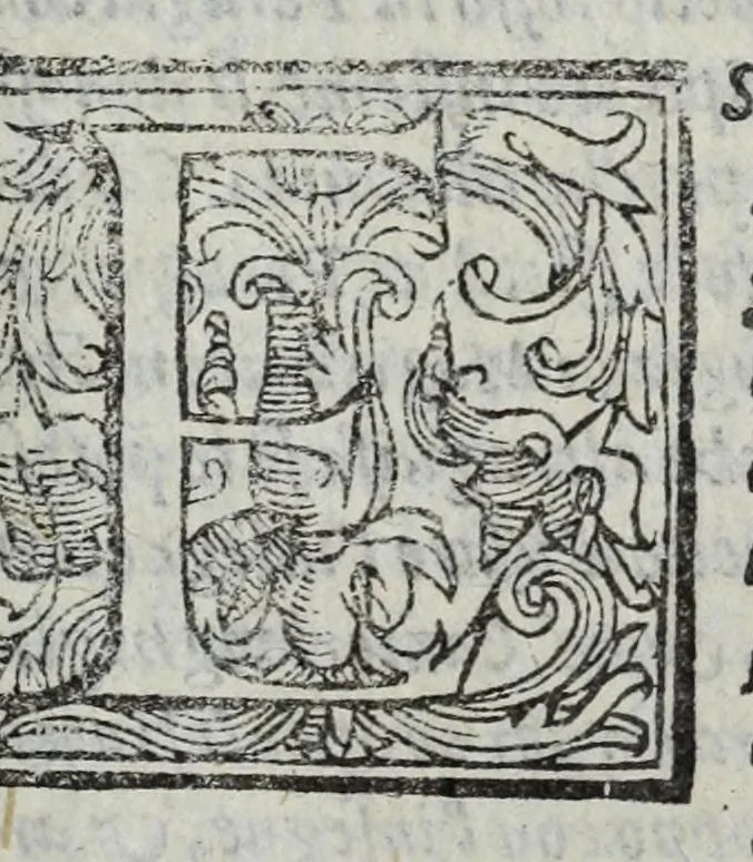 An illustration from Dell' historia di Perugia, di Pompeo Pellini : parte prima[-seconda], nella quale si contengono oltre l'origine e fatii [i.e. fatti] della città, li principali successi d'Italia per il corso d'anni 3525, 1664, leaf 801