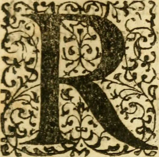 An illustration from Dell'historia di Pietro Giovanni Capriata : libri dodici : ne' quali si contengono tutti i mouimenti d'arme successi in Italia dal MDCXIII. fino al MDCXXXIV, 1639, leaf 308
