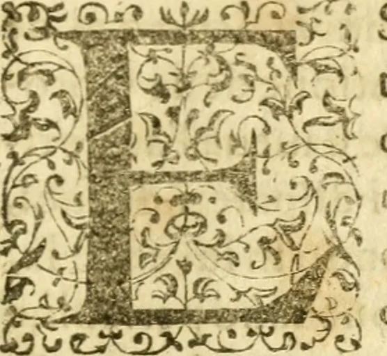 An illustration from Dell'historia di Pietro Giovanni Capriata : libri dodici : ne' quali si contengono tutti i mouimenti d'arme successi in Italia dal MDCXIII. fino al MDCXXXIV, 1639, leaf 398