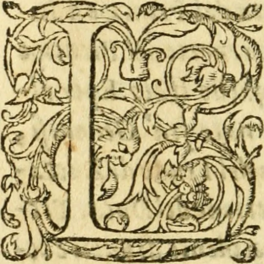 An illustration from Dell'historia di Pietro Giovanni Capriata : libri dodici : ne' quali si contengono tutti i mouimenti d'arme successi in Italia dal MDCXIII. fino al MDCXXXIV, 1639, leaf 551