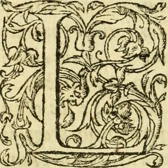 An illustration from Dell'historia di Pietro Giovanni Capriata : libri dodici : ne' quali si contengono tutti i mouimenti d'arme successi in Italia dal MDCXIII. fino al MDCXXXIV, 1639, leaf 653