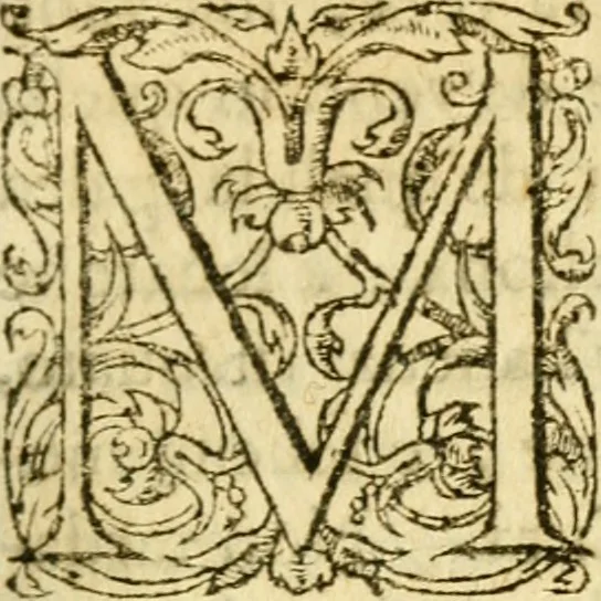 An illustration from Dell'historia di Pietro Giovanni Capriata : libri dodici : ne' quali si contengono tutti i mouimenti d'arme successi in Italia dal MDCXIII. fino al MDCXXXIV, 1639, leaf 768
