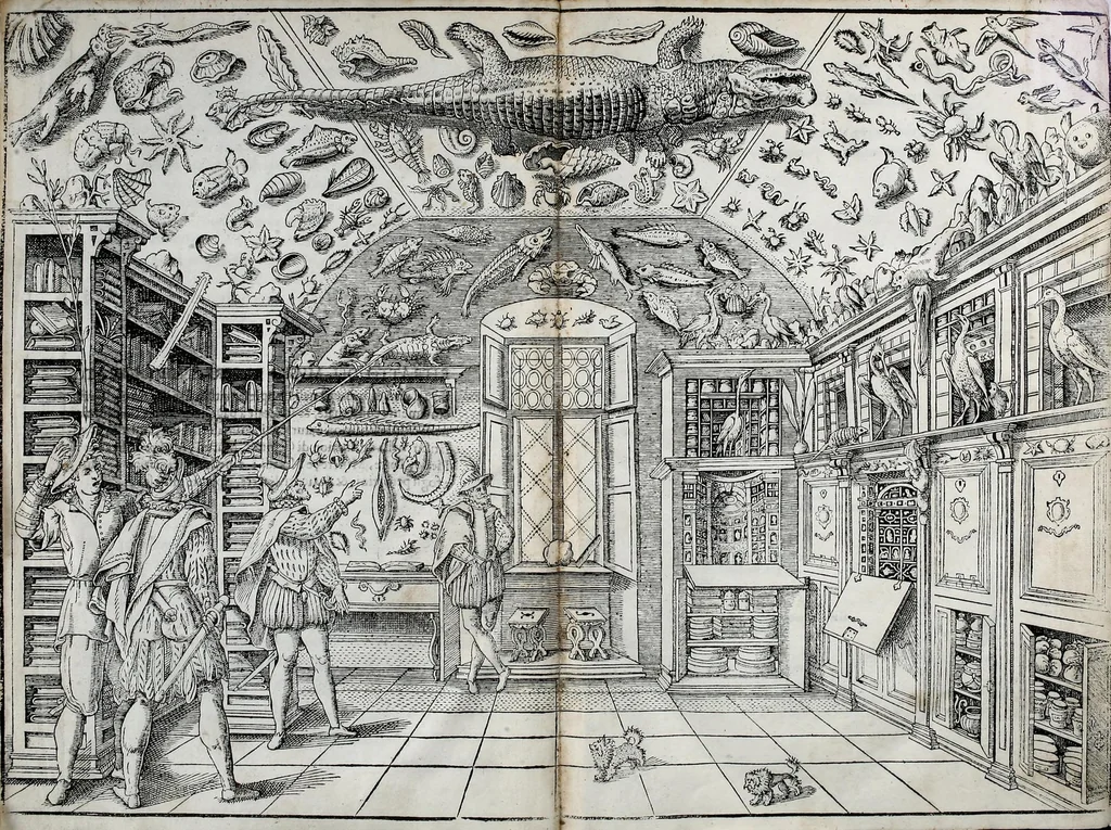 An illustration from Dell'historia natvrale di Ferrante Imperato napolitano libri XXVIII : nella qvale ordinatamente si tratta della diuersa condition di miniere e pietre : con alcune historie di piante & animali, sin'hora non date in luce, 1599, leaf 13