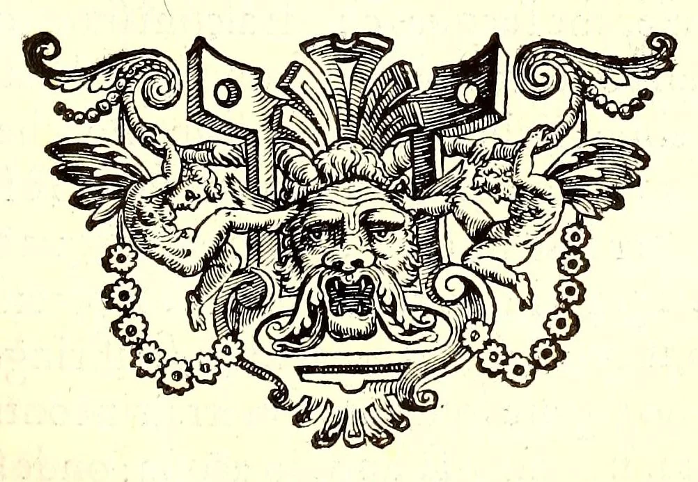 An illustration from Dell'historia natvrale di Ferrante Imperato napolitano libri XXVIII : nella qvale ordinatamente si tratta della diuersa condition di miniere e pietre : con alcune historie di piante & animali, sin'hora non date in luce, 1599, leaf 229