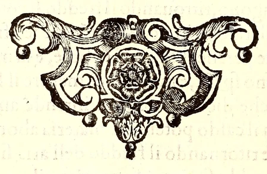 An illustration from Dell'historia natvrale di Ferrante Imperato napolitano libri XXVIII : nella qvale ordinatamente si tratta della diuersa condition di miniere e pietre : con alcune historie di piante & animali, sin'hora non date in luce, 1599, leaf 328