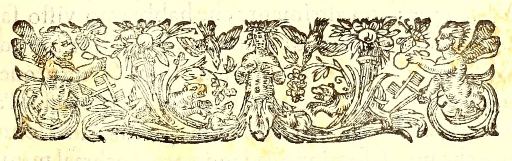 An illustration from Dell'historia natvrale di Ferrante Imperato napolitano libri XXVIII : nella qvale ordinatamente si tratta della diuersa condition di miniere e pietre : con alcune historie di piante & animali, sin'hora non date in luce, 1599, leaf 405