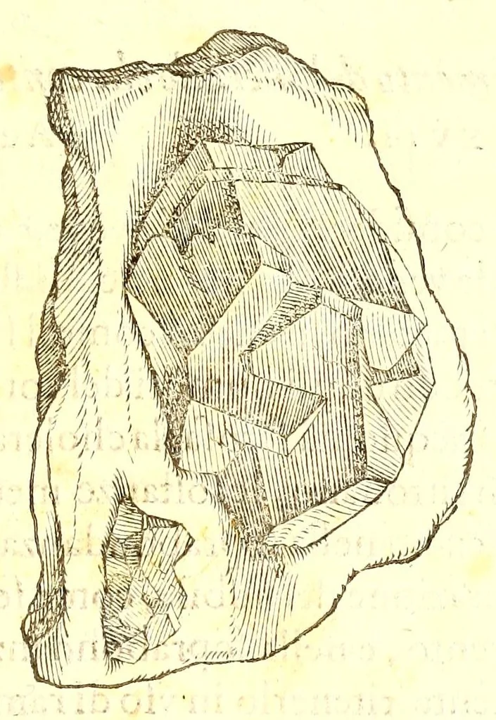An illustration from Dell'historia natvrale di Ferrante Imperato napolitano libri XXVIII : nella qvale ordinatamente si tratta della diuersa condition di miniere e pietre : con alcune historie di piante & animali, sin'hora non date in luce, 1599, leaf 497