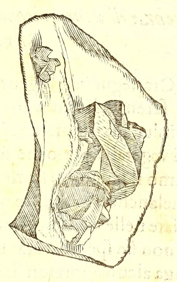 An illustration from Dell'historia natvrale di Ferrante Imperato napolitano libri XXVIII : nella qvale ordinatamente si tratta della diuersa condition di miniere e pietre : con alcune historie di piante & animali, sin'hora non date in luce, 1599, leaf 497