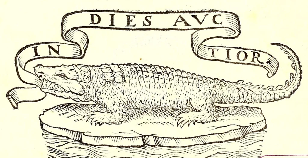 An illustration from Dell'historia natvrale di Ferrante Imperato napolitano libri XXVIII : nella qvale ordinatamente si tratta della diuersa condition di miniere e pietre : con alcune historie di piante & animali, sin'hora non date in luce, 1599, leaf 5