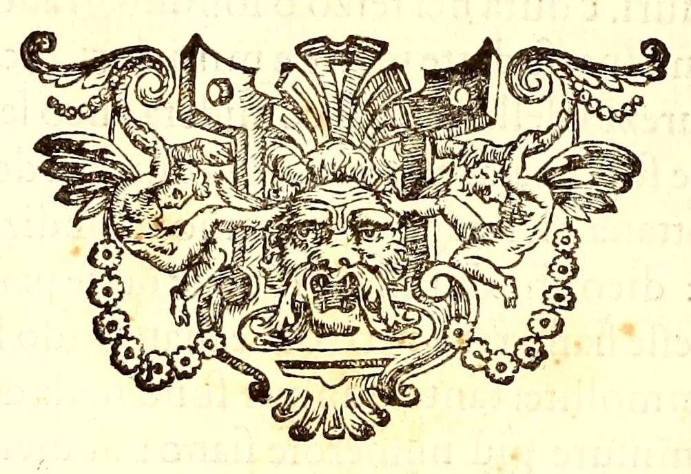 An illustration from Dell'historia natvrale di Ferrante Imperato napolitano libri XXVIII : nella qvale ordinatamente si tratta della diuersa condition di miniere e pietre : con alcune historie di piante & animali, sin'hora non date in luce, 1599, leaf 502