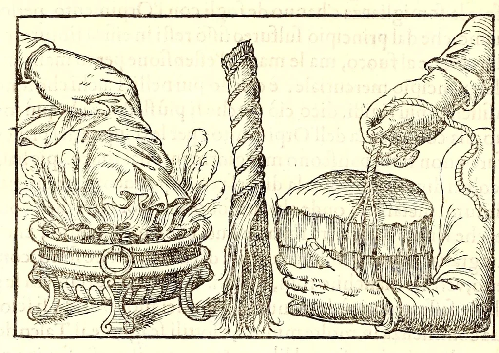 An illustration from Dell'historia natvrale di Ferrante Imperato napolitano libri XXVIII : nella qvale ordinatamente si tratta della diuersa condition di miniere e pietre : con alcune historie di piante & animali, sin'hora non date in luce, 1599, leaf 712