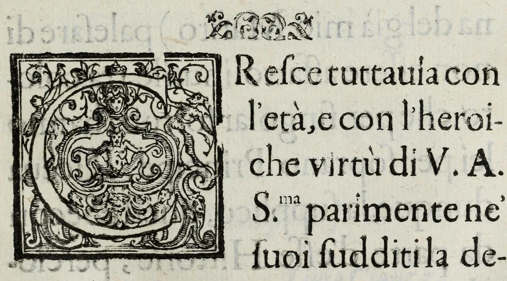 An illustration from Dell' historie di Siena, 1625, leaf 357