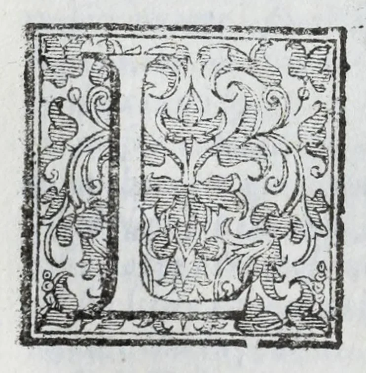 An illustration from Dell' historie di Siena, 1625, leaf 432