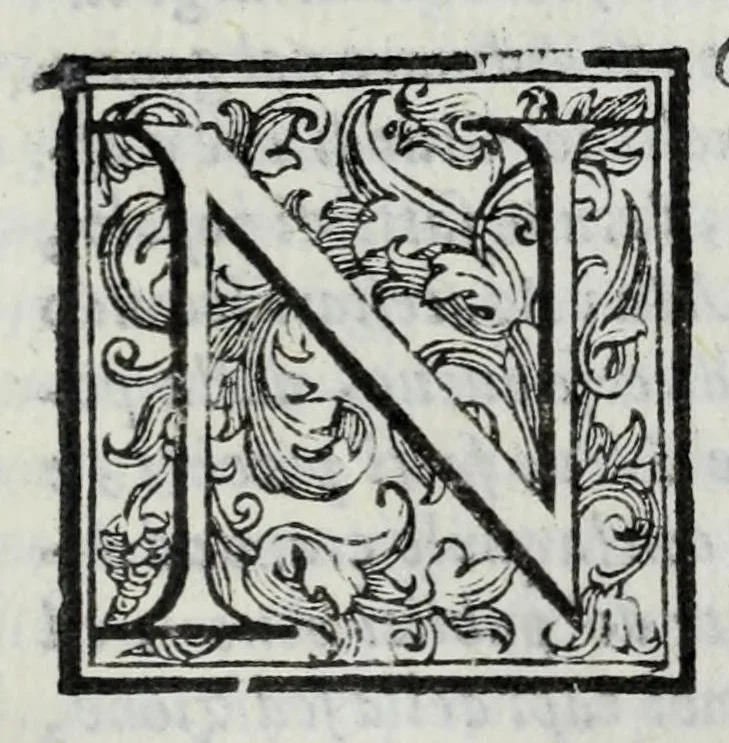An illustration from Dell' historie di Siena, 1625, leaf 575