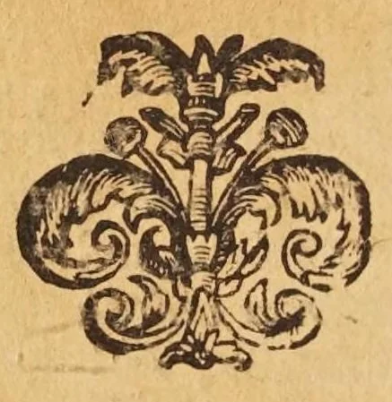 An illustration from Dell'huomo di lettere difeso et emendato : parti due, 1648, leaf 108