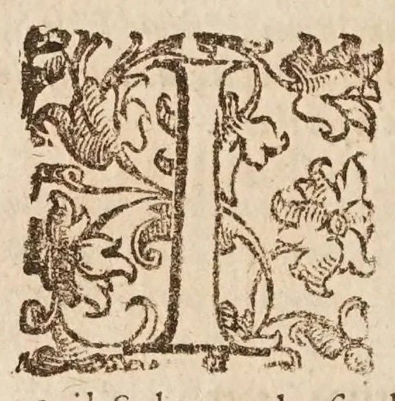 An illustration from Dell'huomo di lettere difeso et emendato : parti due, 1663, leaf 108