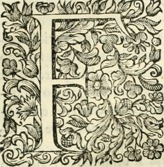 An illustration from Dell'idea della architettura universale, 1714, leaf 106