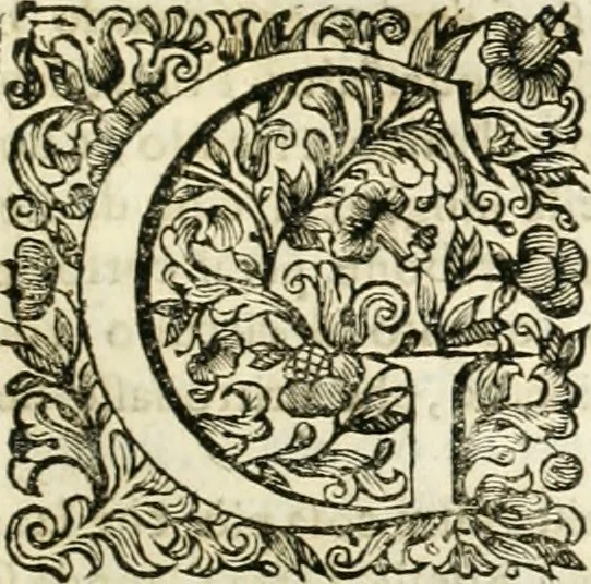 An illustration from Dell'idea della architettura universale, 1714, leaf 112