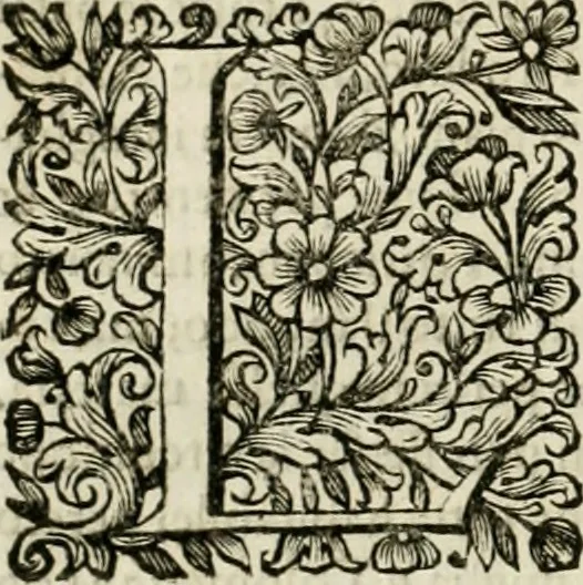 An illustration from Dell'idea della architettura universale, 1714, leaf 115