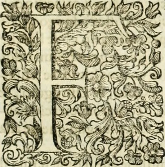 An illustration from Dell'idea della architettura universale, 1714, leaf 118