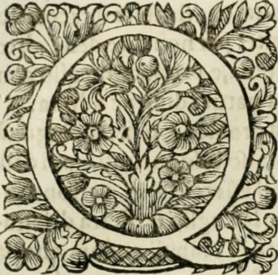 An illustration from Dell'idea della architettura universale, 1714, leaf 127