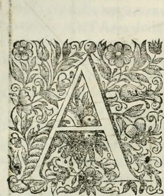 An illustration from Dell'idea della architettura universale, 1714, leaf 139