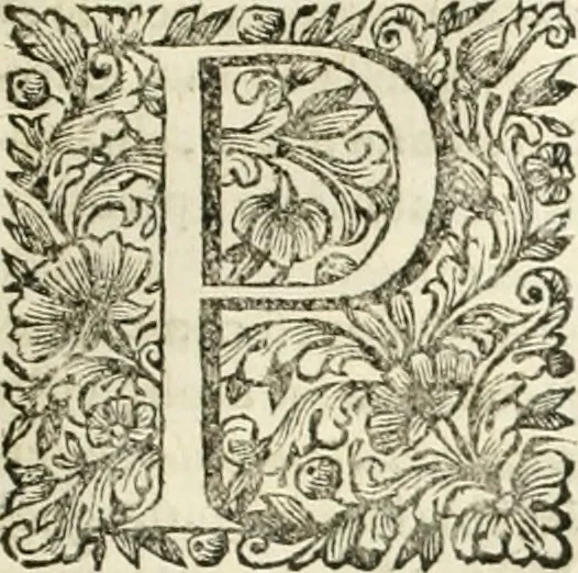 An illustration from Dell'idea della architettura universale, 1714, leaf 144